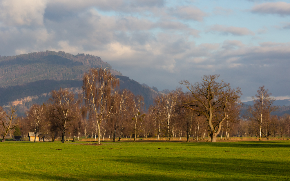 Lauteracherried im Jänner 71